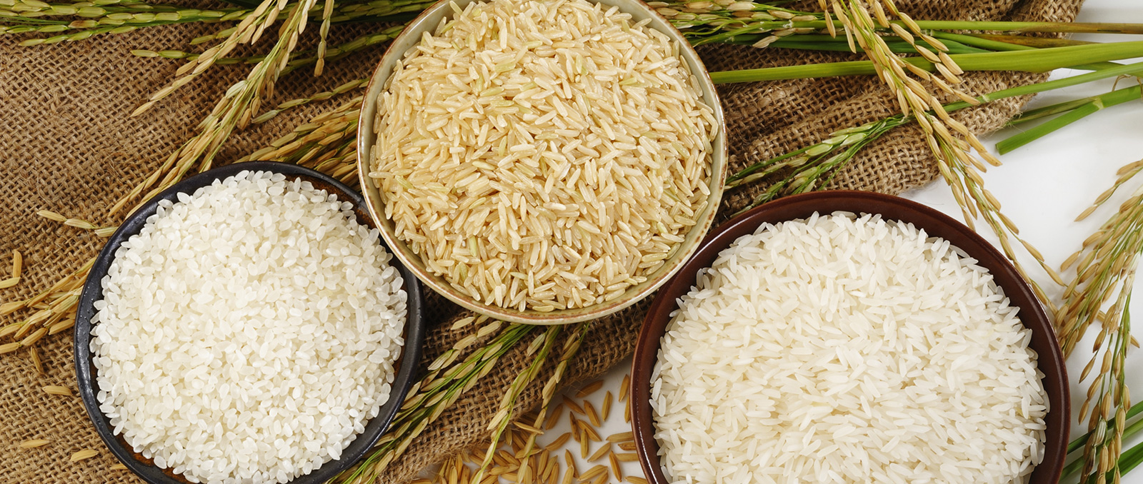 Types Of Chinese Rice Types Of Rice In China | 9 Types of Rice and Their Nutritional Profiles ...