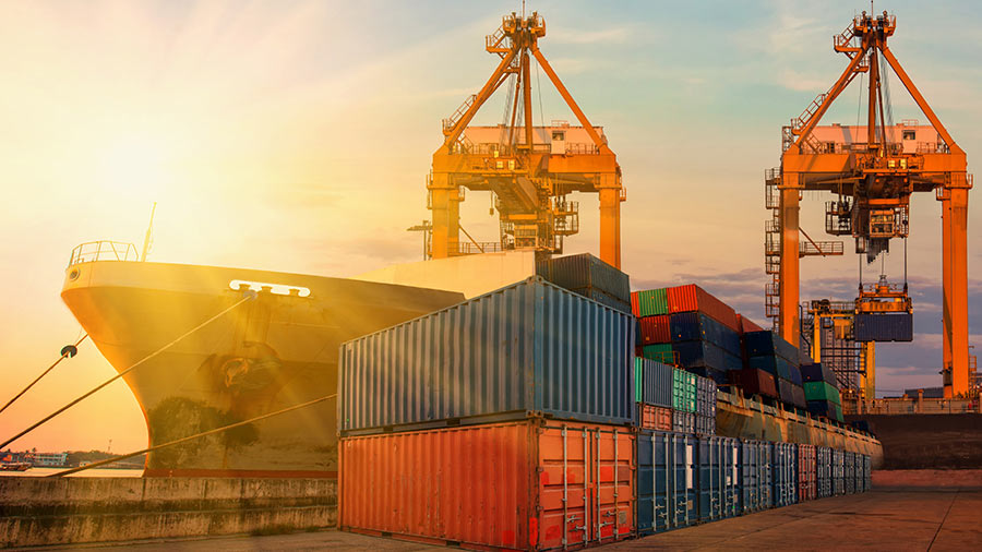 Interim Budget 2024: Would like FM to look into GST reduction, export policy reforms: Industry